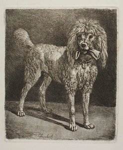  da Johann Adam Klein