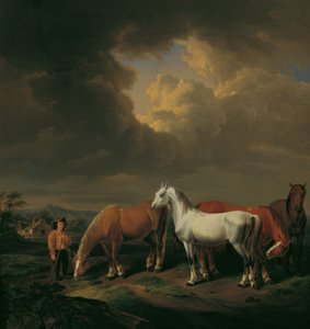 Cinque cavalli da aratro