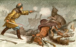 Il lupo - 