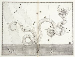 Costellazione di Serpens Caput e Serpens Cauda da Johann Bayer