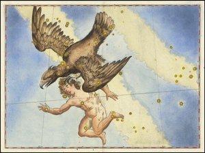 Johann Bayer - Aquila da Johann Bayer