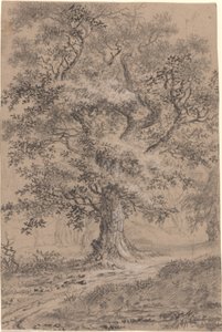 Una Quercia Frondosa su un Sentiero nel Bosco da Johann Caspar Huber