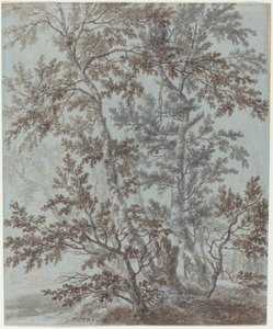 Un gruppo di betulle da Johann Caspar Huber