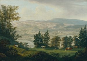 Dintorni delle rovine di Habsburg da Johann Caspar Rahn