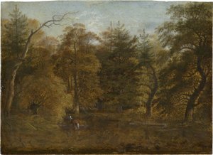 Paesaggio forestale con laghetto