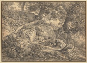 Pendio con massi e ulivi nel parco dei principi Chigi ad Ariccia da Johann Christian Reinhart