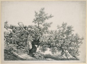 Studio di albero. Tronco caduto con radici esposte da Johann Christian Reinhart