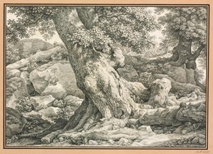  da Johann Christian Reinhart