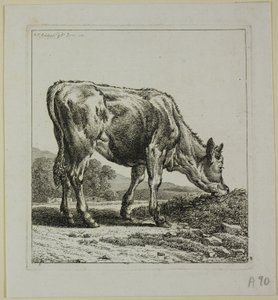 Vitello che si nutre, da Die Zweite Thierfolge da Johann Christian Reinhart