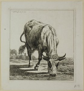Mucca che beve, da Die Zweite Thierfolge da Johann Christian Reinhart
