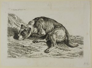 Cane sdraiato, da Die Zweite Thierfolge da Johann Christian Reinhart