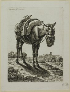 Mulo che mangia - Fronte, da Die Zweite Thierfolge da Johann Christian Reinhart
