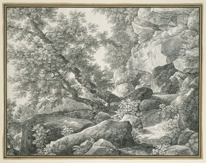 Paesaggio roccioso con alberi da Johann Christian Reinhart