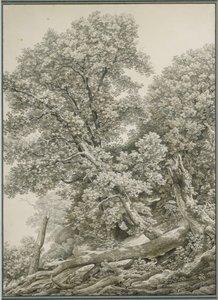  da Johann Christian Reinhart