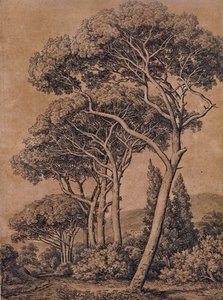 J C Reinhart Pini a ombrello 1791 da Johann Christian Reinhart