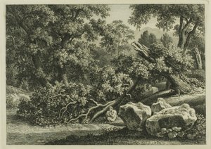 Paesaggio con Pan che suona un flauto da Johann Christian Reinhart