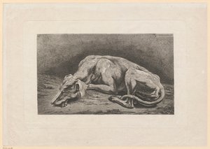 Levriero addormentato da Johann Christian Reinhart
