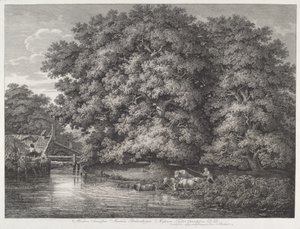 Il mulino alle grandi querce da Johann Christian Reinhart