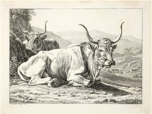 Due tori romani a riposo, da Die Zwiete Thierfolge da Johann Christian Reinhart
