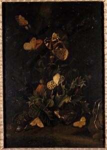 Fiori con farfalle e rospo da Johann Christian Thomas Winck