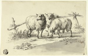 Pecore da Johann Christoph Kimpfel