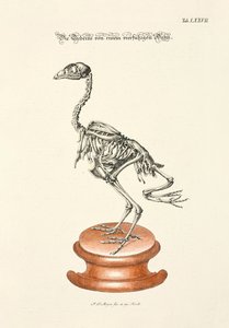  da Johann Daniel Meyer