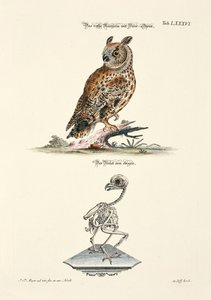  da Johann Daniel Meyer