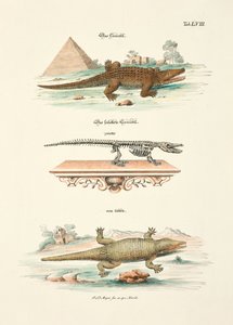  da Johann Daniel Meyer