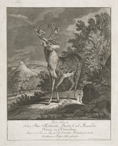 Un magnifico cervo in un paesaggio da Johann Elias Ridinger