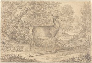  da Johann Elias Ridinger