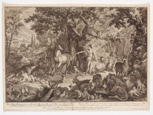 Adamo dà i nomi agli animali da Johann Elias Ridinger