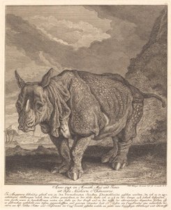 Rinoceronte da Johann Elias Ridinger