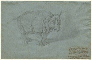 Il Rinoceronte "Miss Clara" da Johann Elias Ridinger