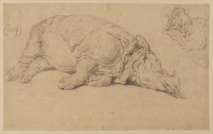 Rinoceronte sdraiato su un lato da Johann Elias Ridinger or Riedinger