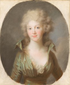 Friederike Luise Wilhelmine di Prussia, Regina dei Paesi Bassi
