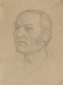 Testa di uomo