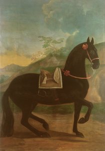 Un Cavallo Nero con Sella Spagnola