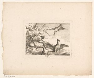 Paesaggio con sei anatre (Uccelli nei paesaggi) da Johann Georg Hertel (I) (possibly)