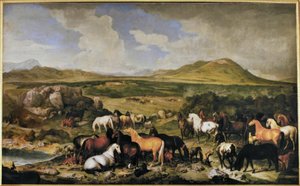 Johann Georg de Hamilton / Lippizaner da Johann Georg de Hamilton