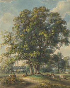 Et in Arcadia Ego da Johann Georg von Dillis