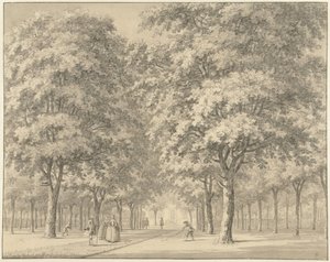 Il viale di una tenuta (Velserbeek?)