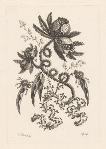 Fiori con bacche