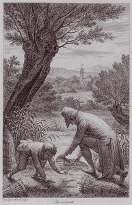 BernhardJHLipsi da Johann Heinrich Lips