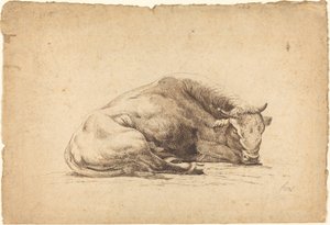 Un toro che dorme