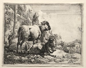 Capra con campanello, 1665 da Johann Heinrich Roos