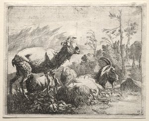 Capre da Johann Heinrich Roos
