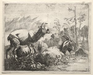 Capre, 1665 da Johann Heinrich Roos