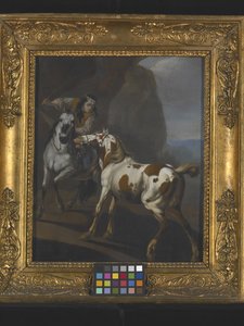 Indiano che doma un cavallo da Johann Heinrich Roos