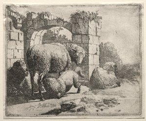 Pecore vicino alle rovine di un arco, 1665 da Johann Heinrich Roos
