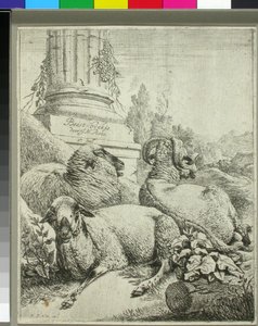  da Johann Heinrich Roos